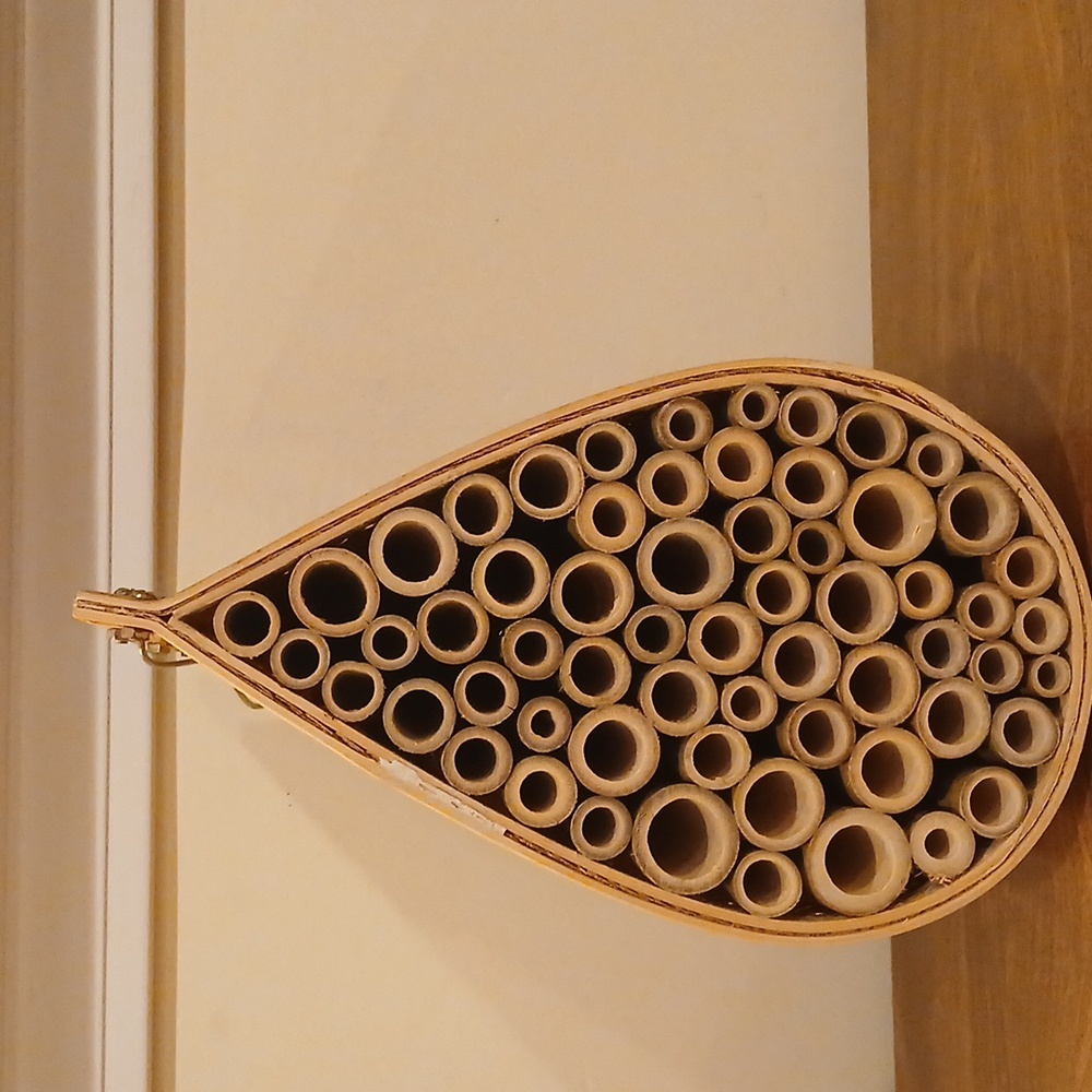 Bee Hive